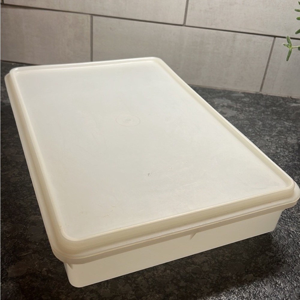 Vintage Tupperware deli keeper. Bacon, meats, cheeses.  Even veggies.